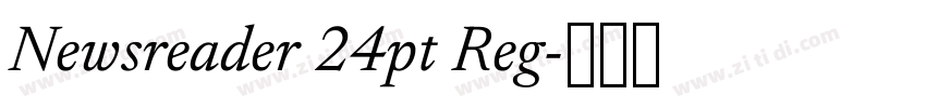 Newsreader 24pt Reg字体转换 Newsreader 24pt Reg字体转换